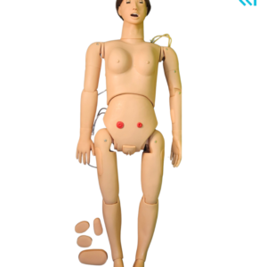 Basic Nursing Manikin