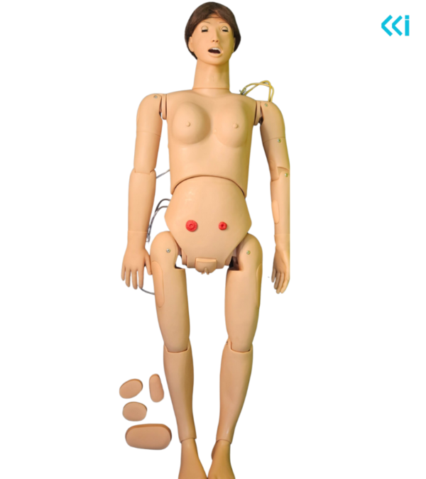 Basic Nursing Manikin