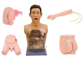 Combined Nursing Manikin Combined Nursing Manikin