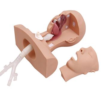 Suction Training Simulator Suction Training Simulator