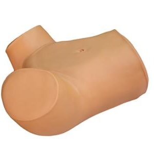 Vaginal Culdocentesis Simulator