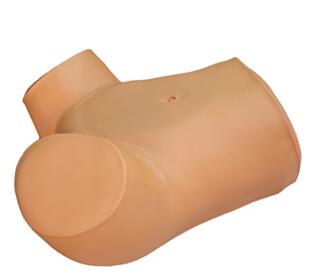 Vaginal Culdocentesis Simulator Vaginal Culdocentesis Simulator