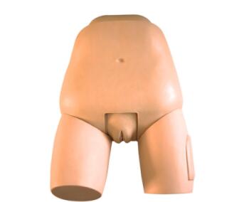 Fundus of Uterus Exam.& Evaluation Simulator Fundus of Uterus Exam.& Evaluation Simulator