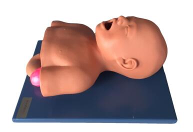 Infant Tracheal Intubation Model Infant Tracheal Intubation Model