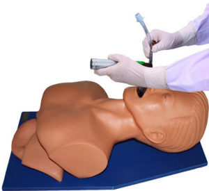 Electronic Trachea Intubation Training Model