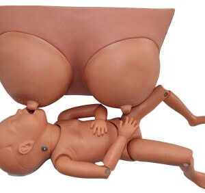 Breast Feeding Simulator