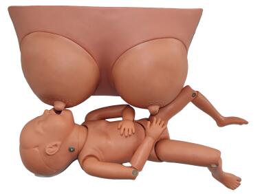 Breast Feeding Simulator Breast Feeding Simulator