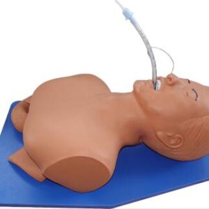 Adult airway trainer