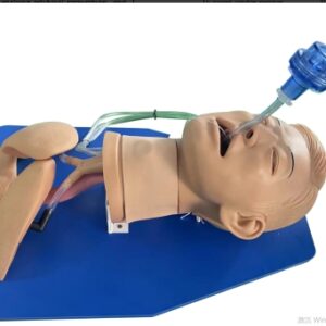 Airway Management Model