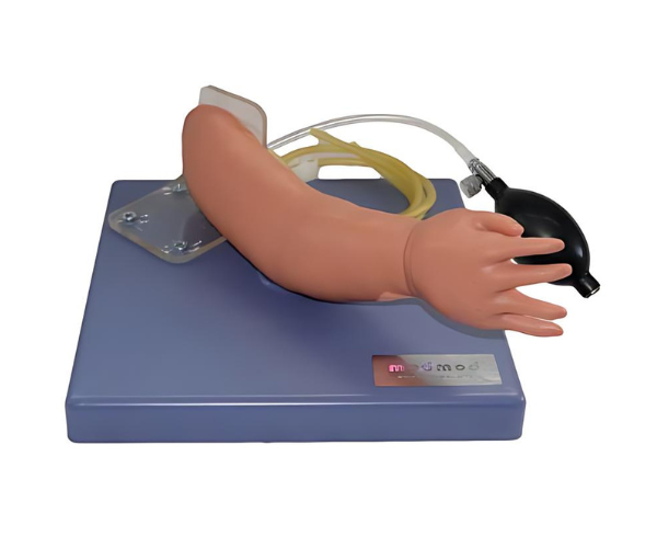 Infant Vein Injection Arm Model