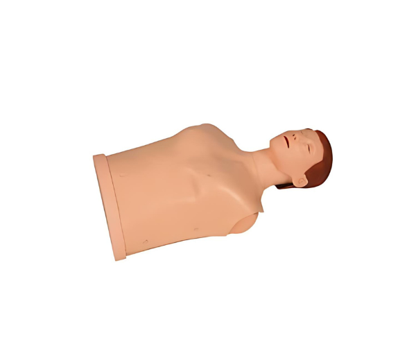CPR 005 Half Body CPR Training Manikin