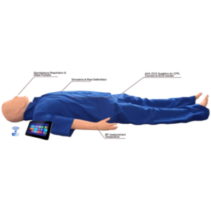 Adult ACLS Emergency Training System