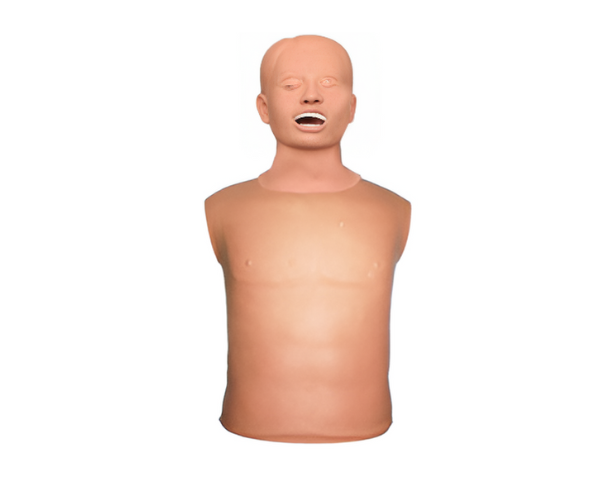 L-103 Bronchial Endoscope Training Simulator