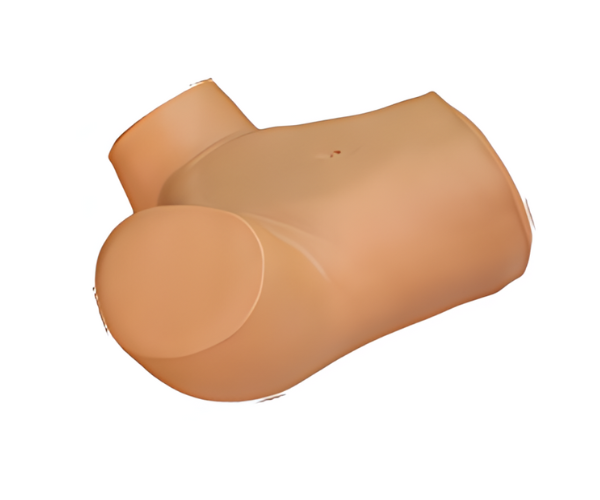 Leopold’s Maneuver, Anal and Vaginal Examination Simulator Leopold’s Maneuver, Anal and Vaginal Examination Simulator