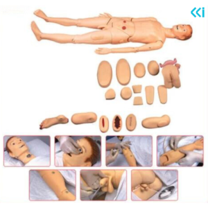 Advanced Nursing and Wound Care Manikin