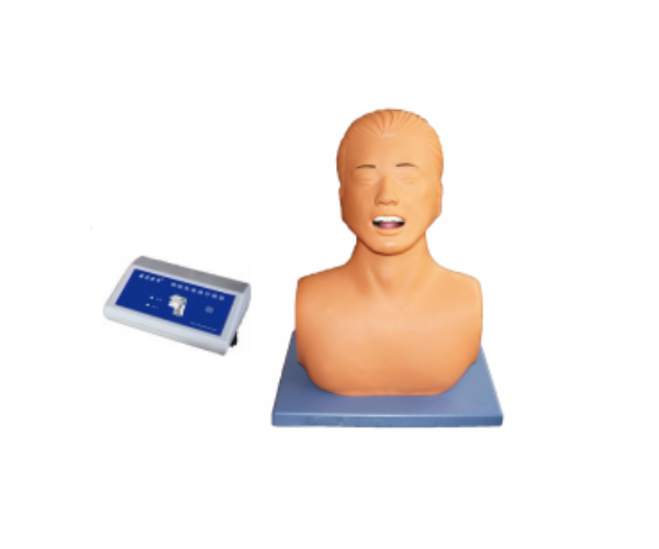 Untitled design (17)