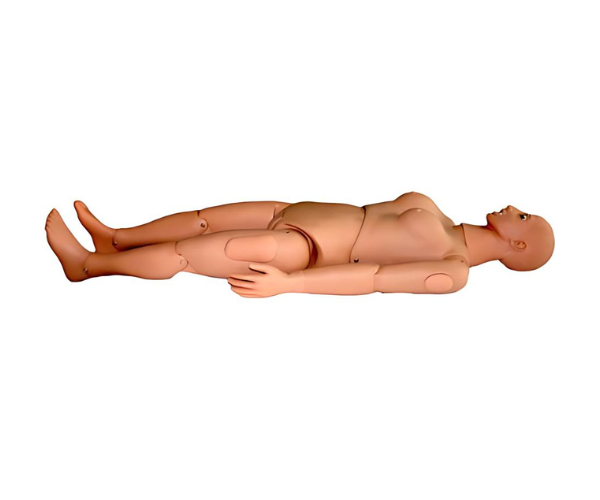 Basic Nursing Manikin