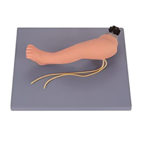 Advanced Infant Venipuncture Leg