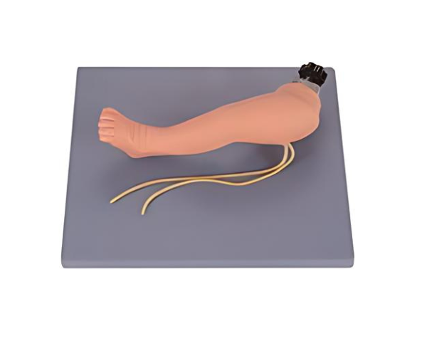 Advanced Infant Venipuncture Leg Advanced Infant Venipuncture Leg