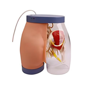 Buttocks Intramuscular Injection and Contrastive Model