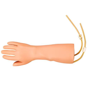 IV Training Hand