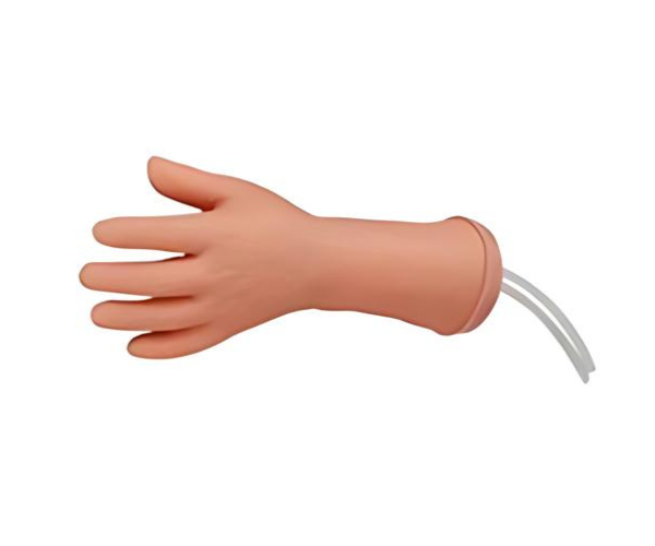 Artery Puncture Hand Artery Puncture Hand