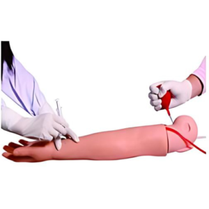 Arm Artery Puncture & Intramuscular Injection Training Model