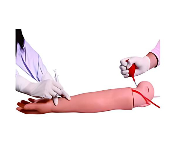 Arm Artery Puncture & Intramuscular Injection Training Model Arm Artery Puncture & Intramuscular Injection Training Model