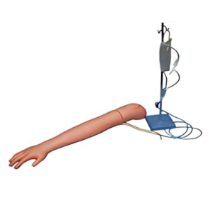 JY/H-1002 Venipuncture & Intramuscular Injection Training Arm