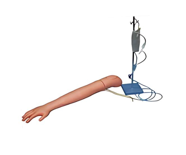 JY/H-1002 Venipuncture & Intramuscular Injection Training Arm JY/H-1002 Venipuncture & Intramuscular Injection Training Arm