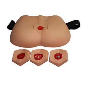 H-0026 Stage Decubitus Ulcer Care Simulator