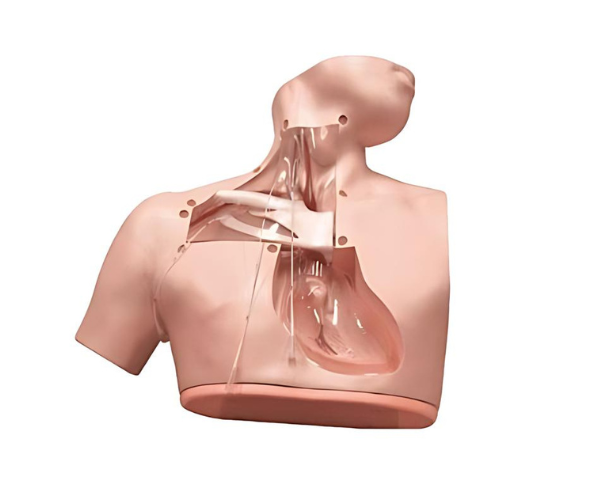 Parenteral Alimentation Nursing Simulator
