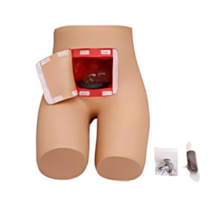 Enema and Assisted Defecation Training Simulator