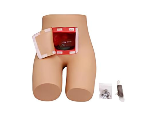 Enema and Assisted Defecation Training Simulator Enema and Assisted Defecation Training Simulator