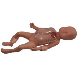 Neonatal Peripheral and Central Vein Intubation Simulator