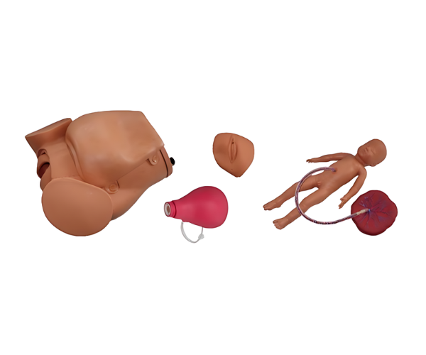 KKI/F-0002P Advanced Childbirth Skill Training Simulator (light/dark)
