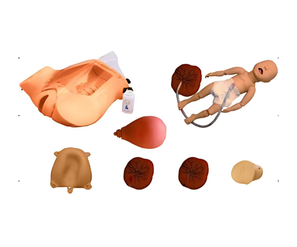 Prevention & Management of Postpartum Hemorrhage Simulator Prevention & Management of Postpartum Hemorrhage Simulator