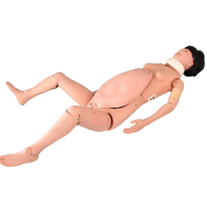 Maternal and Neonatal Birthing Simulator