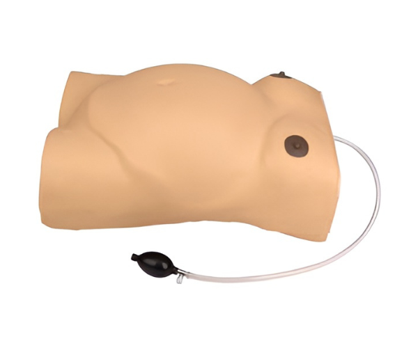 Maternity Examination Simulator