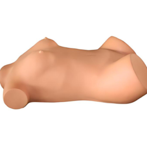 Comprehensive Gynecological Examination Torso