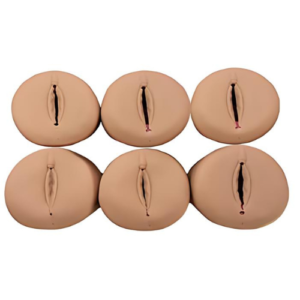 Prenatal Cervix and Birth Canal Model