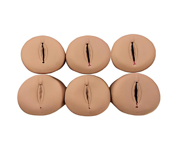 Prenatal Cervix and Birth Canal Model Prenatal Cervix and Birth Canal Model