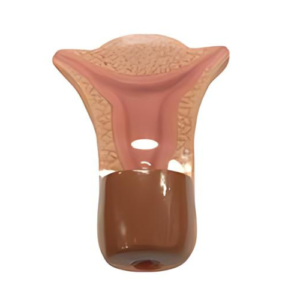 IUD Training Simulator