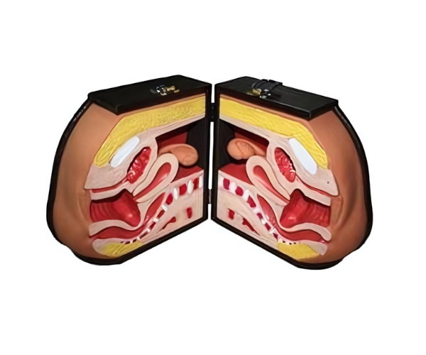 Contraception Guidance Model Contraception Guidance Model