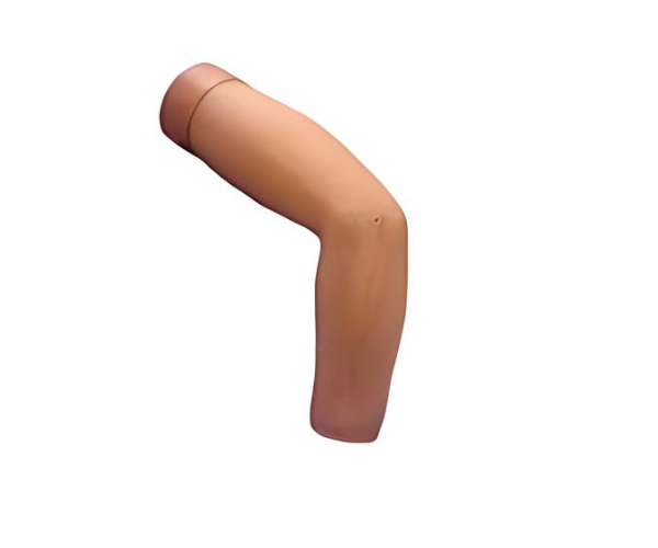 Elbow Arthroscopy Model