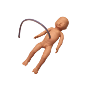 Neonatal Umbilical Cord Intubation Model