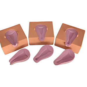Artificial Abortion Simulated Uterus