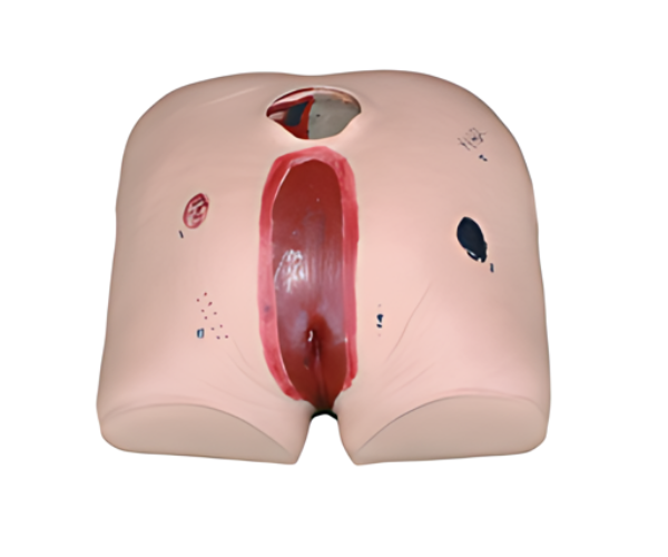Decubitus Ulcer Care Simulator