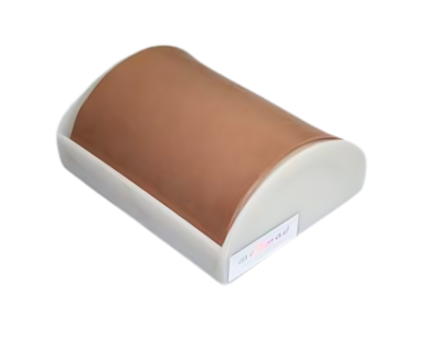 Intramuscular Injection Model