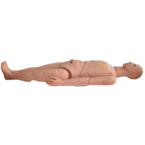 Basic Nursing Manikin